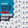 image:imageJOOLA Training 3 Star Table Tennis Balls  40mm Regulation Bulk Ping Pong Balls for Competition and Recreational Play  Fun as a Cat Toy  Indoor and Outdoor CompatibleWhite