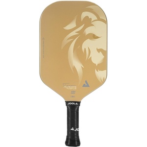 image:imageJOOLA Magnus CAS 14mm Pickleball Paddle  Gold Tyson McGuffin Lion Paddle  Edgeless Design amp Short Handle  Lightweight Double Frame Carbon Fiber Core  Extra Long Length  Carbon Surface Adds Spin